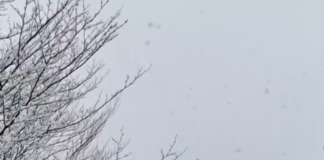 Rama ndan pamjet nga Puka e mbuluar me borë: Një copëz përralle dimri