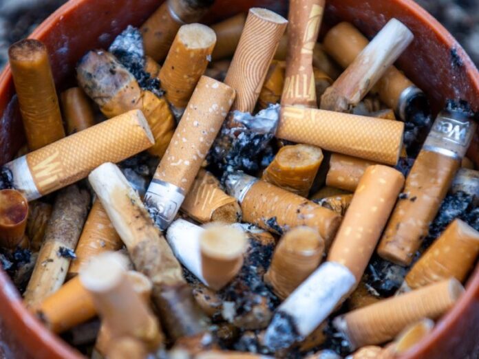 WhatsApp-Image-2024-12-11-at-15.13.03