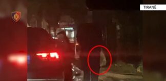 DETAJET/ Sekuestrohet kokainë me vlerë 270 mijë euro në Tiranë, arrestohen dy 20-vjeçarë