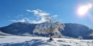 Parashikimi i motit, e mërkurë, 18 dhjetor 2024