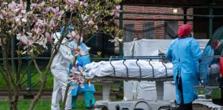 Virusi që tmerroi botën, pesë vite nga viktima e parë e Covid 19