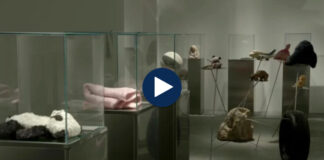 Hapet “Muzeu i Fëmijëve të Luftës” në Prishtinë, pikturat tregojnë tmerret e luftës në Kosovë