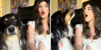 VIDEO/ Gruaja këndon kolonën zanore të filmit “Titanic”, qeni i saj i “bashkohet” në një duet magjepsës