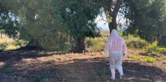 Gripi i shpendëve/ Veterinerët tregojnë hapat që duhen ndjekur për të kuptuar nëse pulat janë prekur nga virusi H5N1