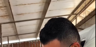 Denaj ndan shembullin e veterinerit të ri: Mbështetje profesionistëve të integrohen në tregun e punës