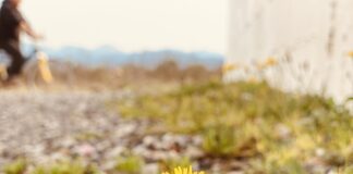 Dita nis me kthjellime, në mesditë reshje shiu! Si parashikohet moti këtë të diel