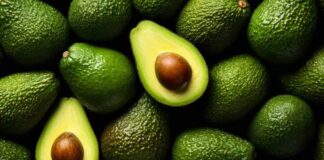 Avokado Jeshile apo të Zeza? Cila Rekomandohet më Shumë
