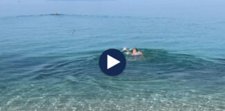 Në Vlorë nis plazhi, vlonjatët: Kemi vite që lahemi në dimër, nuk na kap asnjëherë gripi