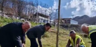 Llatja: Më shumë sipërfaqe të gjelbra në Tregan