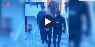Megaoperacion/ Shisnin lëndë narkotike në doza, arrestohen 13 persona
