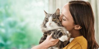 SOFT NEWS – Për Shën Valentin vërini një maceje endacake emrin e ish-të dashurit tuaj