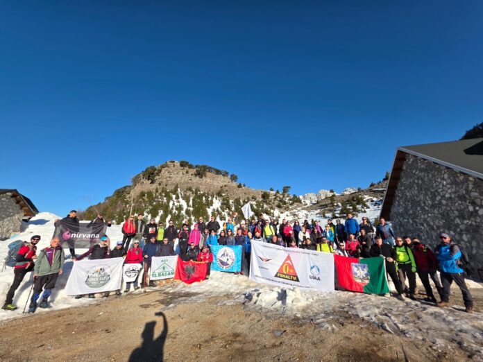 34e39ec8-dfd3-46af-85ea-996810bb2778