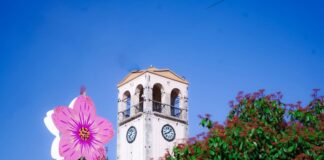 Pranverë në Elbasan🌷🌻🪻