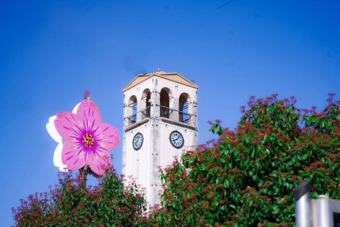 FB_IMG_1741605089866