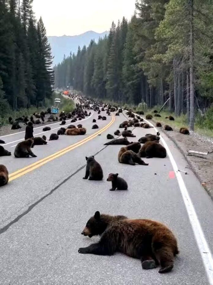 FB_IMG_1743238328979