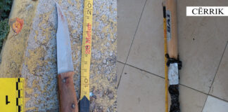 Tentoi të vriste me thikë një 37-vjeçar, arrestohet autori në Cërrik