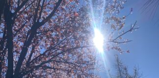 Temperaturat shkojnë deri në 22 gradë C! Si parashikohet moti për këtë të shtunë