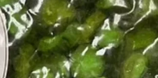 Paralajmërim urgjent: Mos i konsumoni këto turshi, mund të përmbajnë baktere që shkaktojnë paralizë