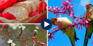 Sot “Dita e Verës”/ Çfarë simbolizon festa pagane e ballokumeve dhe kuptimi i verores