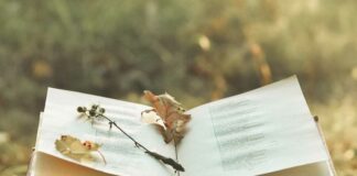 Dita Ndërkombëtare e Poezisë