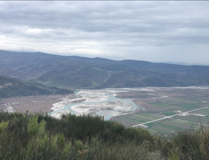 Screenshot-2025-03-03-190028