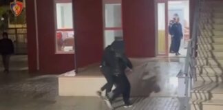 Pjesë e një organizate kriminale, arrestohet 47-vjeçari italian në…