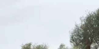 Rrugë e re në Kusarth Llatja:I shërben tre fshatrave, paketë investimesh për qendrat rurale (VIDEO)