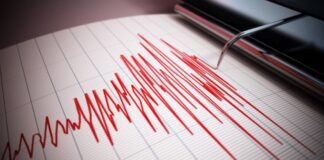 Një tërmet i fuqishëm godet Zelandën e Re, sa ishte magnituda