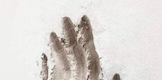 Rama: Voto PS-në për Shqipërinë 2030 në BE