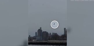 Shëtitja e familjes përfundoi në tragjedi, dalin pamjet e frikshme të rrëzimit të helikopterit në lumë!