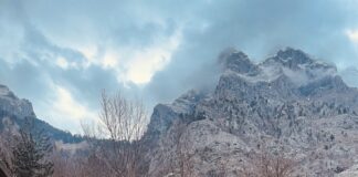 Parashikimi i motit, e martë, 15 prill 2025