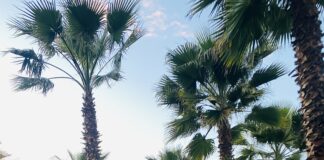 Vranësira dhe reshje shiu, temperatura deri në 21 gradë C