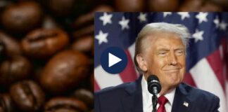 Tarifat rrisin çmimin e kafes/ Trump po nxit prodhimin vendas? Ekspertët: Kafja nuk mund të prodhohet në SHBA