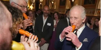 Video/ Mbreti Charles luan muzikë me një flaut të bërë nga karota