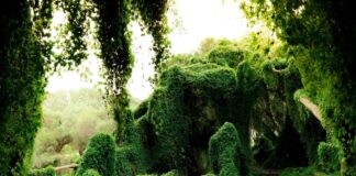 Zbulim befasues, studimi i ri kundërshton Biblën për vendndodhjen e Kopshtit të Edenit