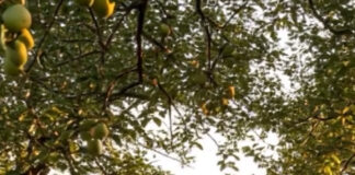 Diell dhe ftohtë, si do të jetë moti sot!