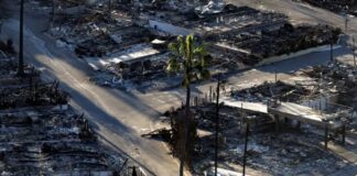 Analiza e DW: A mund ta shpëtojë botën ndryshimi i mentalitetit?