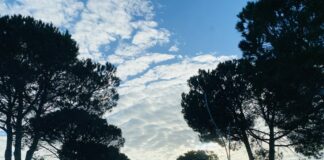 Temperatura deri në 28 gradë, parashikimi i motit për këtë të shtunë