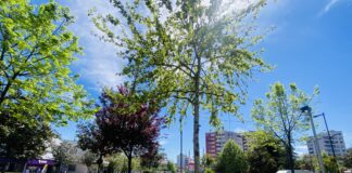 Rriten temperaturat, si parashikohet moti për këtë fillim jave