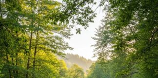 Parashikimi i motit për sot, 28 prill 2025