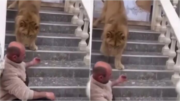 MixCollage-09-Apr-2025-03-25-PM-9212_sd