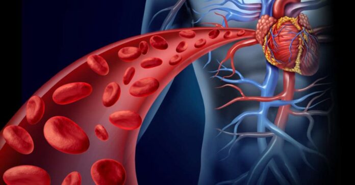 New-Project-3-4-1068x559