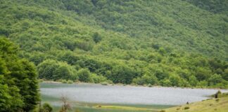 Festë, traditë dhe promovim i turizmit malor në 17 vjetorin e Parkut Kombëtar Shebenik