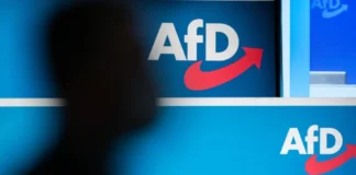 Gjermania shpall AfD-në grup ekstremist të krahut të djathtë