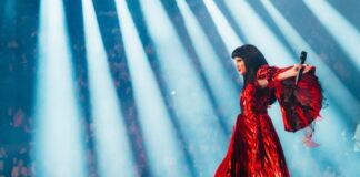 Shqipëria në finalen e Eurovision 2025, “Shkodra Elektronike”: Kënga “Zjerm”, motivim për rinin