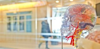 Zbulohet një zonë e trurit që rregullon perceptimin e vetëdijshëm