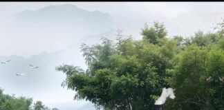 Njihuni me parashikimin e motit për ditën e djelë 25 Maj