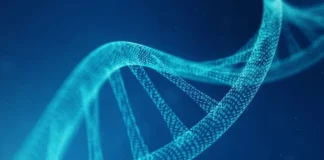 Nis projekti revolucionar për krijimin e ADN-së artificiale njerëzore, çfarë do të ndodhë