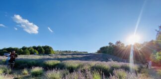 “Magjia aromatike e Kushovës!