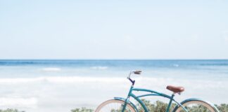 Dita Botërore e Biçikletës